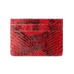 Cardholder Python rot